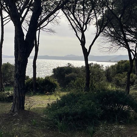 Villa Gegi 부도니 외부 사진