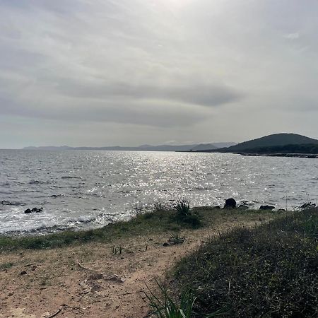 Villa Gegi 부도니 외부 사진