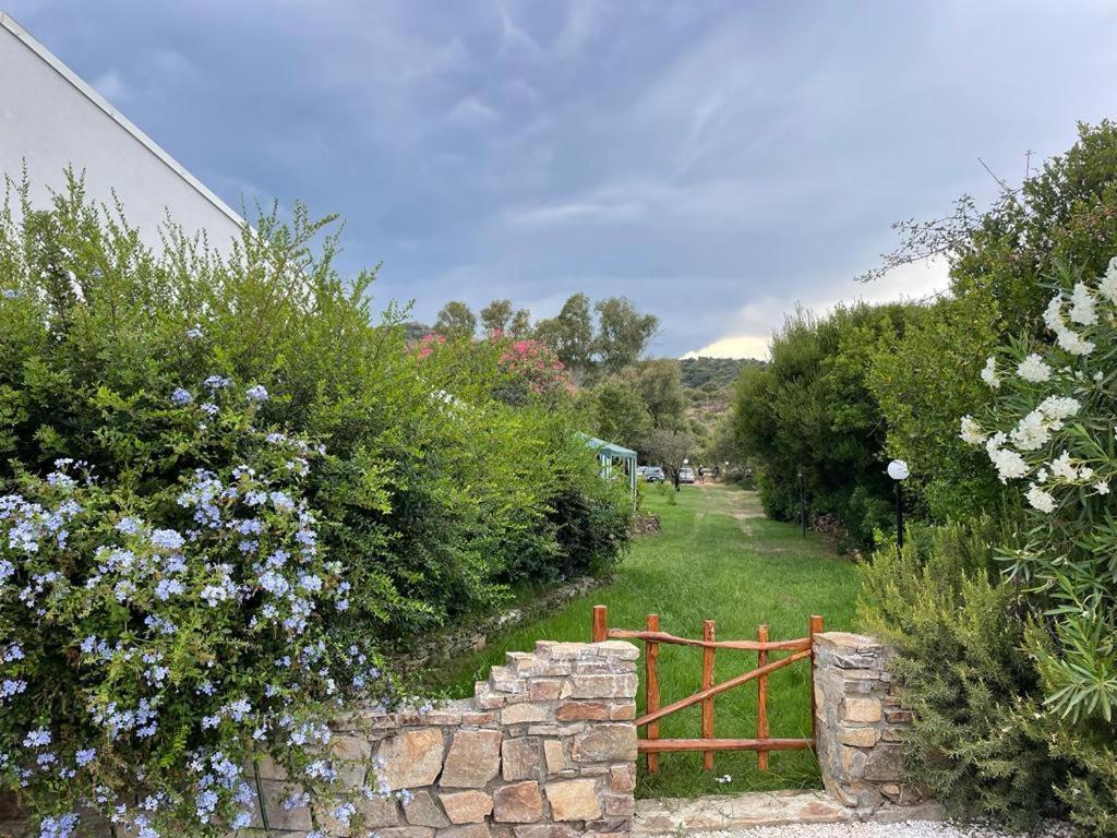 Villa Gegi 부도니 외부 사진