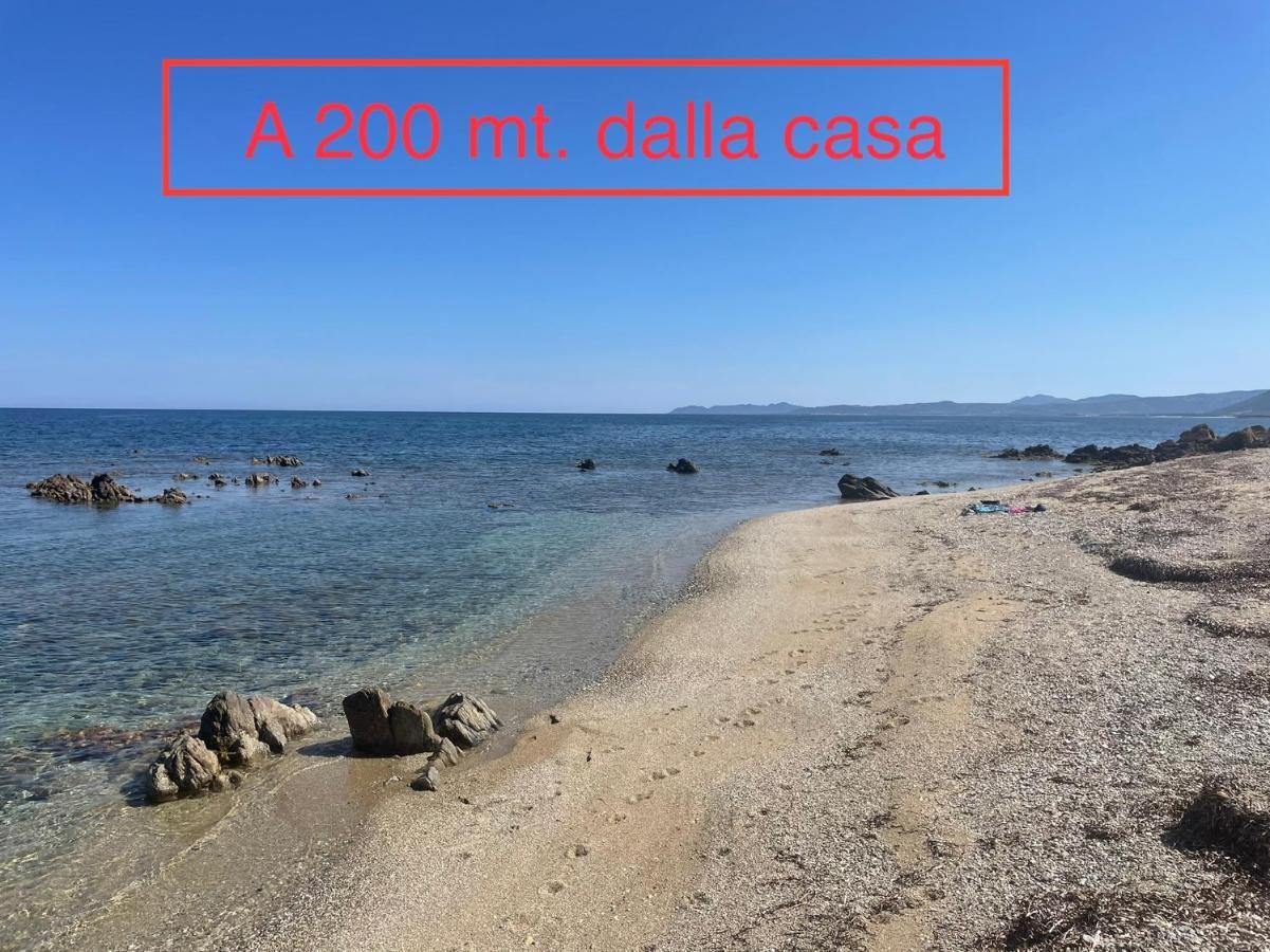 Villa Gegi 부도니 외부 사진